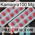 Kamagra100 Mg 19